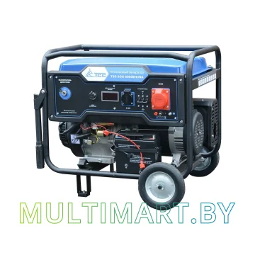 Бензиновый генератор ТСС SGG 6000EH3NA